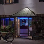 Brit Hotel, & Restaurant - Colmar Est