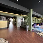 Brit Hotel, & Restaurant - Colmar Est 3* Bischwihr