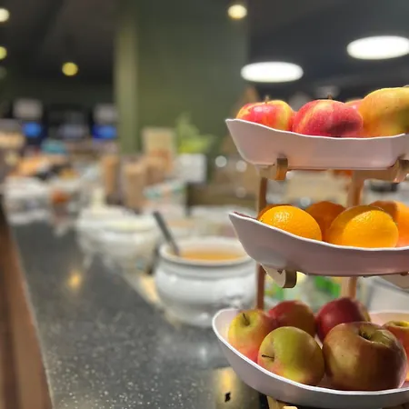 Brit Hotel, Spa&restaurant - Colmar Est 3*