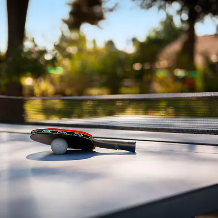 Brit Hotel, & Restaurant - Colmar Est Hotel