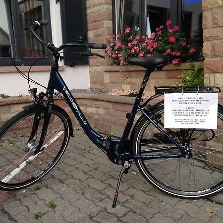 Hotel Brit Hotel, Spa&restaurant - Colmar Est Bischwihr