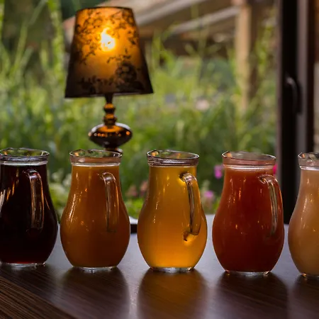 Brit Hotel, & Restaurant - Colmar Est 3* Bischwihr