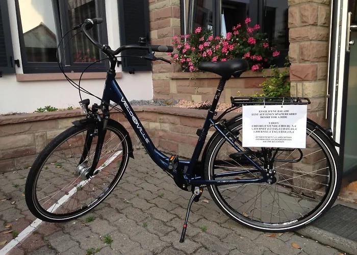 Hotel Brit Hotel, & Restaurant - Colmar Est Bischwihr